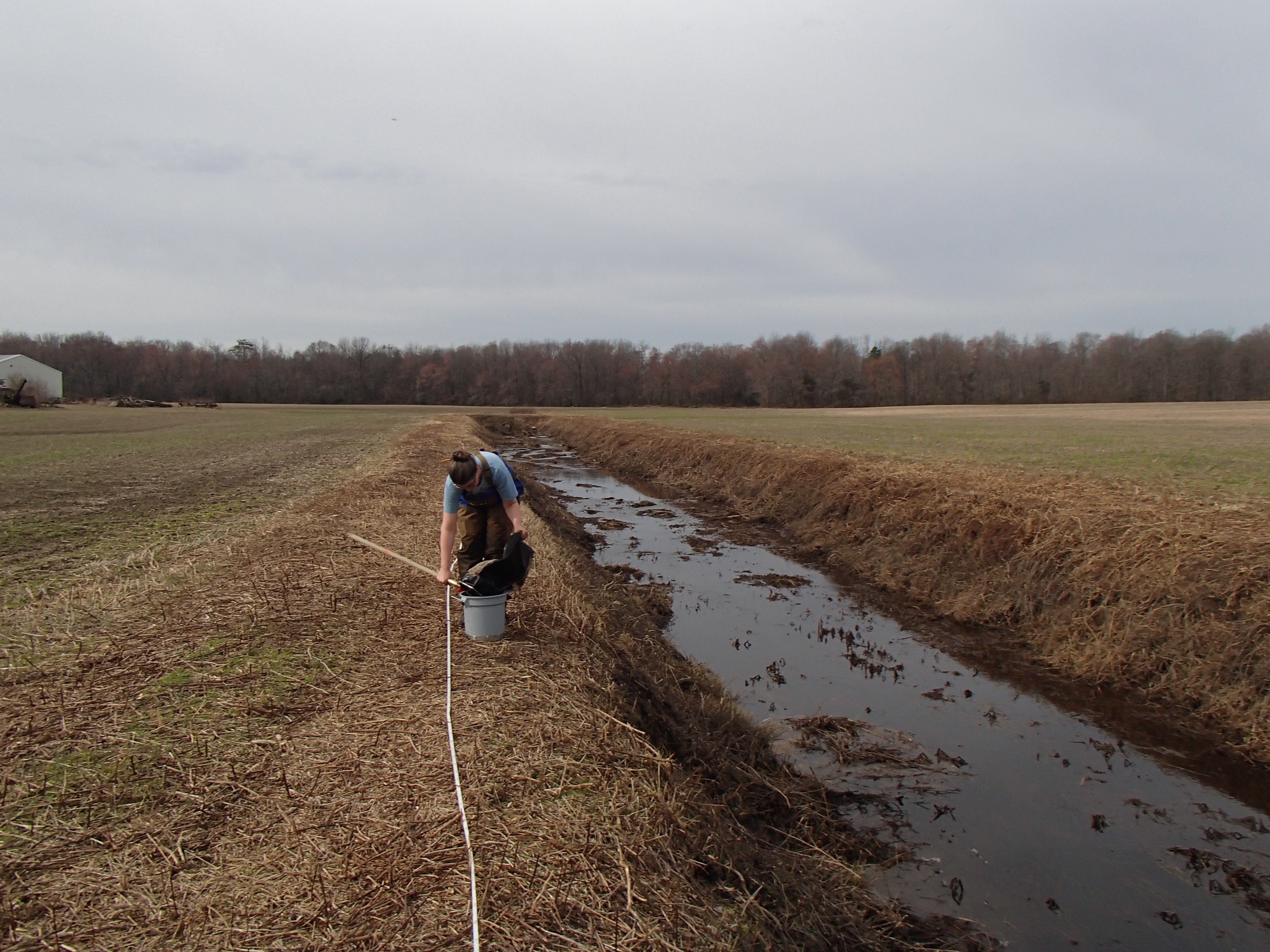 Field photo showing stream conditions at site UPCK-108-R-2016_midpoint looking upstream